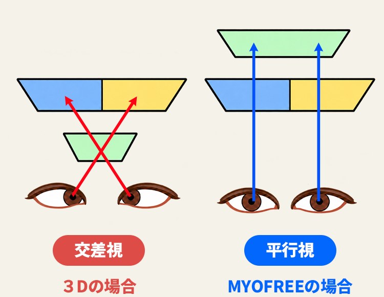 交差視（3Dの場合）は両眼の視線が交差し、平行視（MYOFREEの場合）は両眼の視線が平行になる