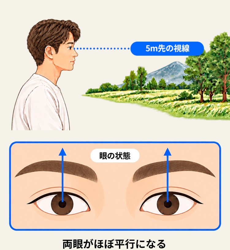 5m先の視線では、両眼がほぼ平行になる
